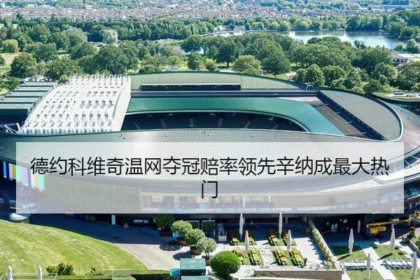 德约科维奇温网夺冠赔率领先辛纳成最大热门