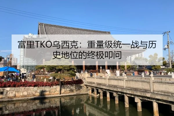 富里TKO乌西克：重量级统一战与历史地位的终极叩问